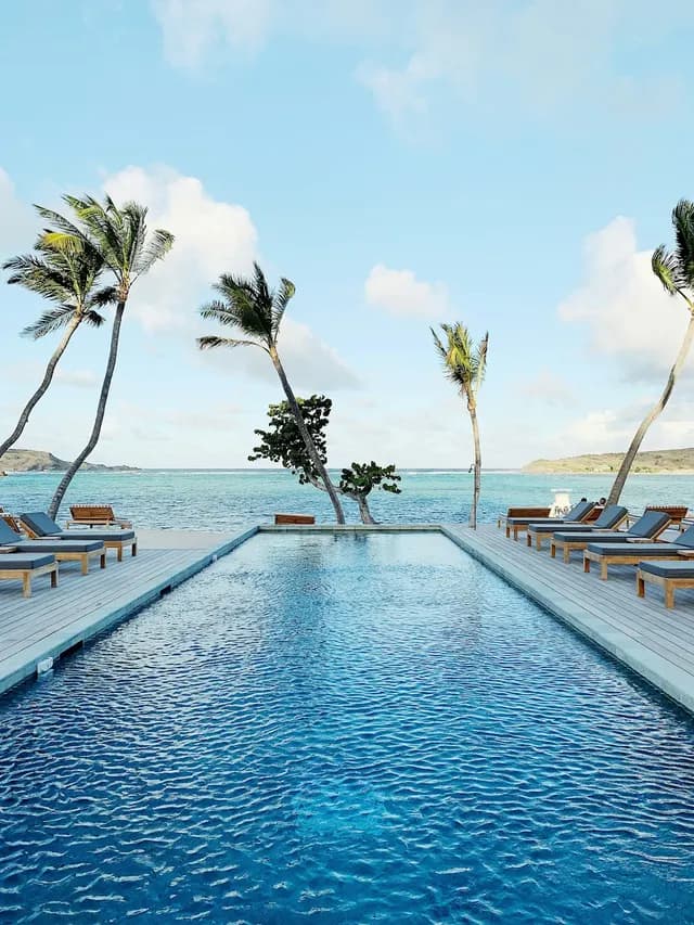Long swimming pool with palm trees and a sea view