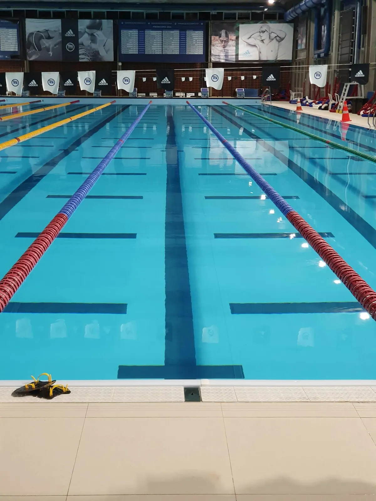 Competition lap pool with lane ropes and tiled lane markings